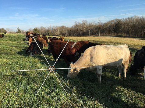 Appleton farm case study image