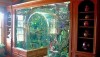 built-in-aquarium-tropical-fish-tank