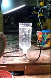 DIY Brine Shrimp