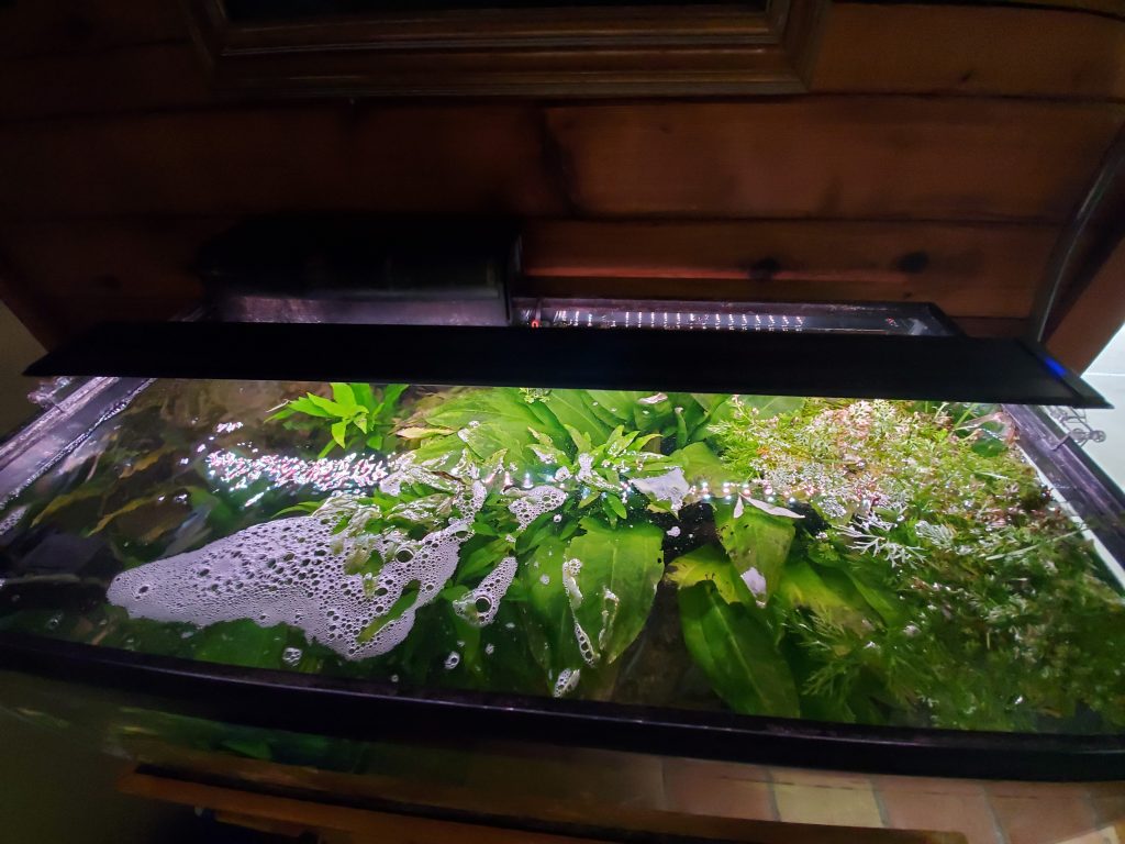 View of LED Lighting | Tropical Fish KeepingTropical Fish Keeping